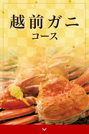 越前ガニコース
