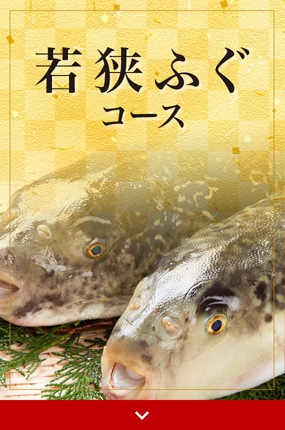 若狭ふぐコース