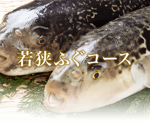 若狭ふぐコース
