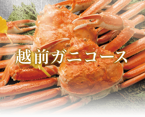 越前ガニコース