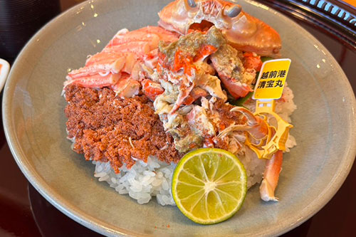 セイコ丼プラン